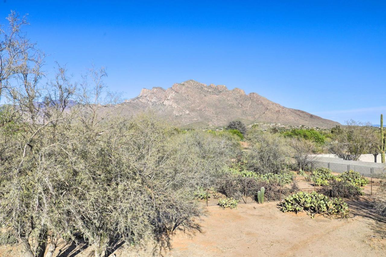 Oro Valley Retreat With Pool, Spa And Rooftop Views! 외부 사진